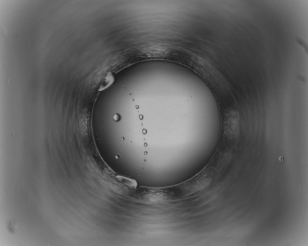 X0000101690604200807101515