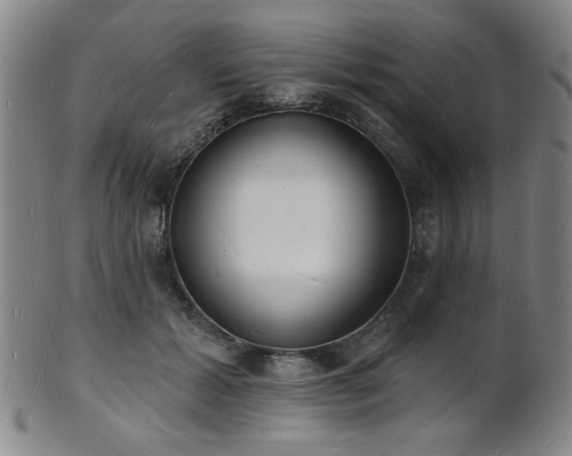 X0000101690605200807101515