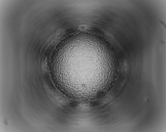 X0000101690606200807101514