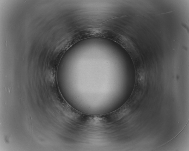 X0000101690607200807101514