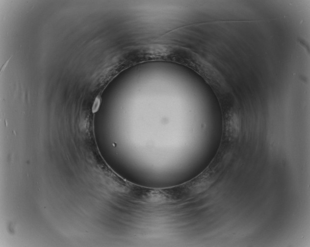 X0000101690608200807101514