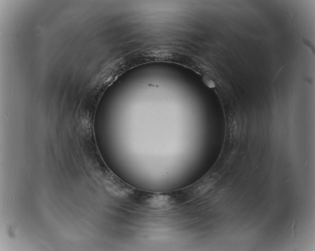 X0000101690609200807101514