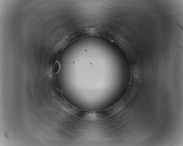 X0000101690611200807101514