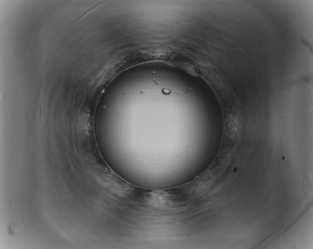 X0000101690612200807101514