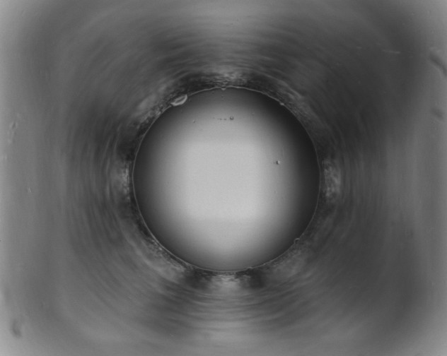 X0000101690613200807101514