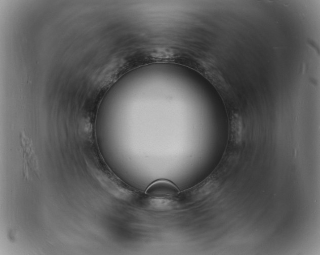 X0000101690614200807101514