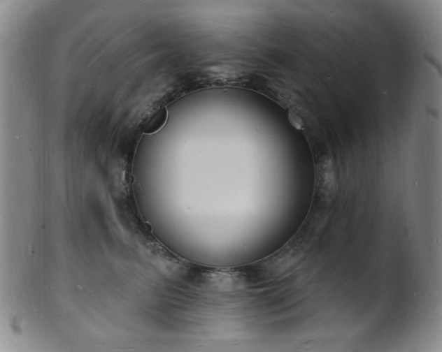 X0000101690615200807101514