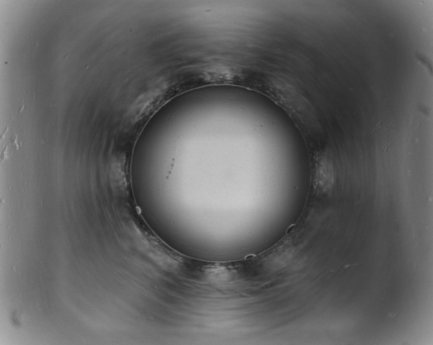 X0000101690616200807101514