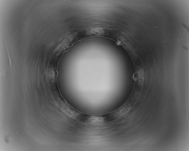 X0000101690617200807101514