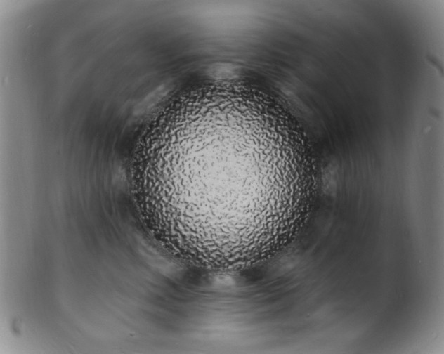 X0000101690618200807101514