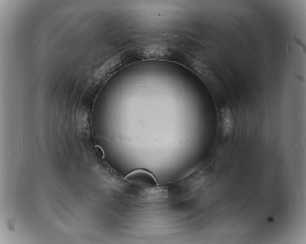 X0000101690619200807101514