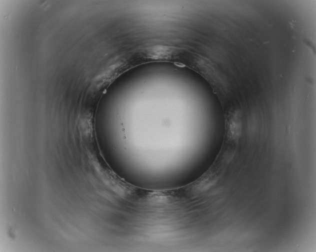 X0000101690620200807101514