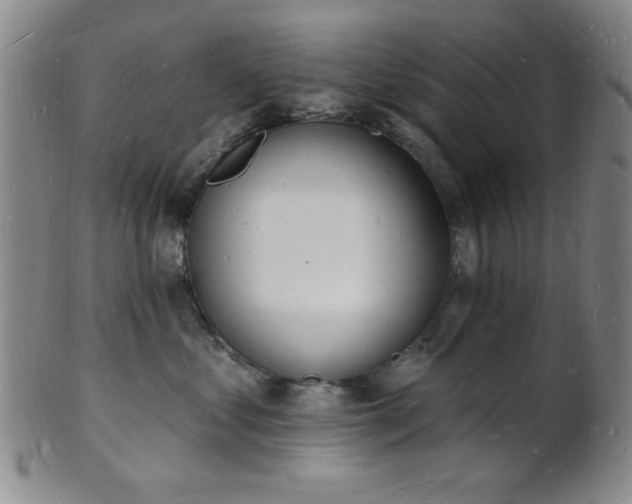 X0000101690621200807101514