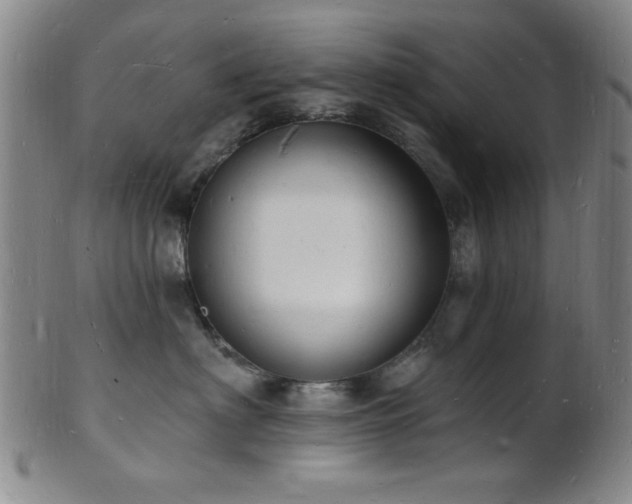 X0000101690622200807101514