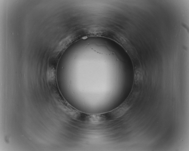 X0000101690623200807101514