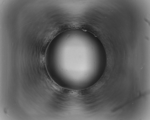 X0000101690624200807101514