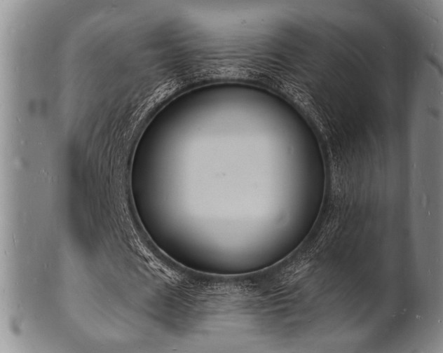 X0000101690625200807101513