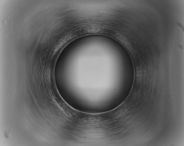 X0000101690626200807101513