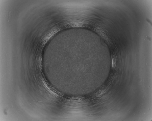 X0000101690627200807101514