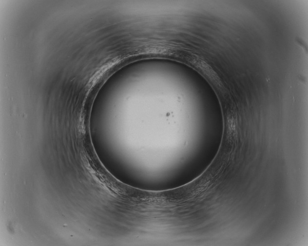 X0000101690628200807101514