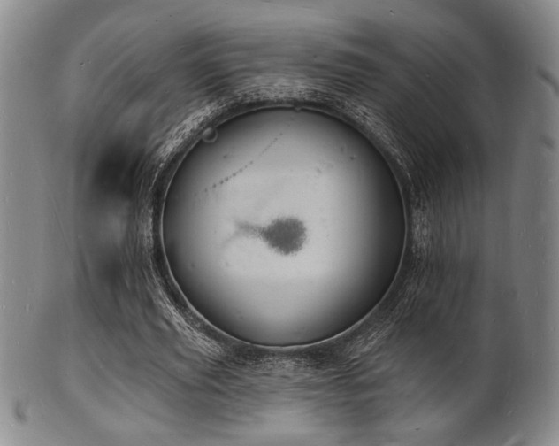 X0000101690629200807101514