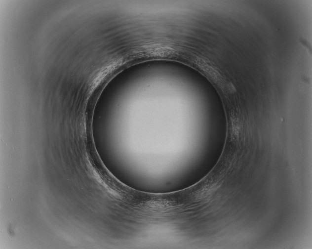 X0000101690630200807101514