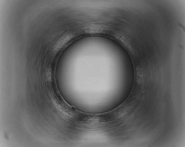 X0000101690631200807101514