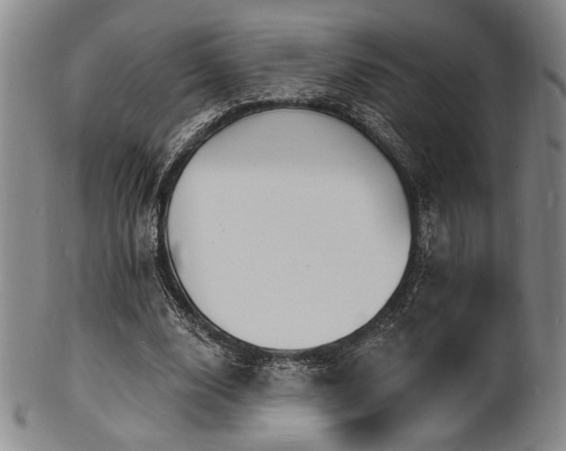 X0000101690632200807101514