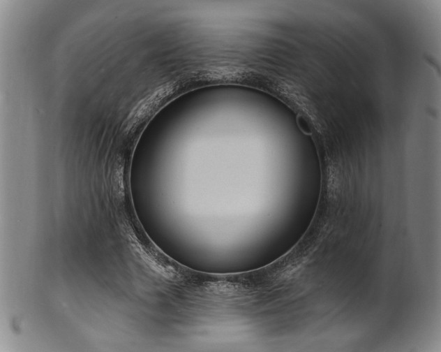 X0000101690633200807101514