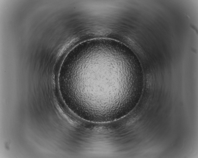 X0000101690634200807101514