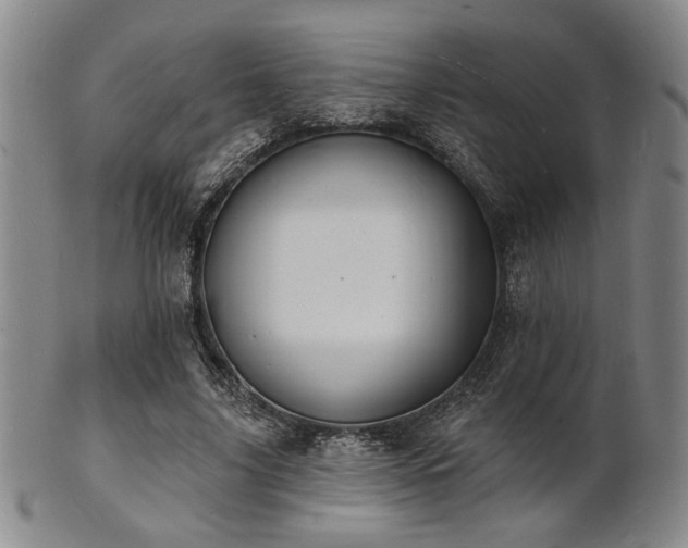 X0000101690635200807101514