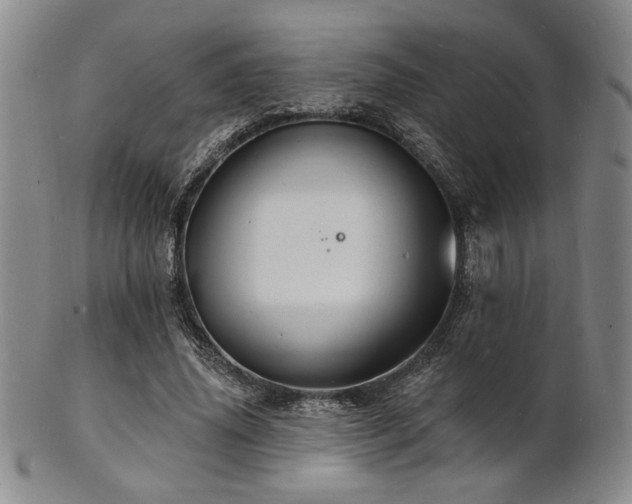 X0000101690636200807101514