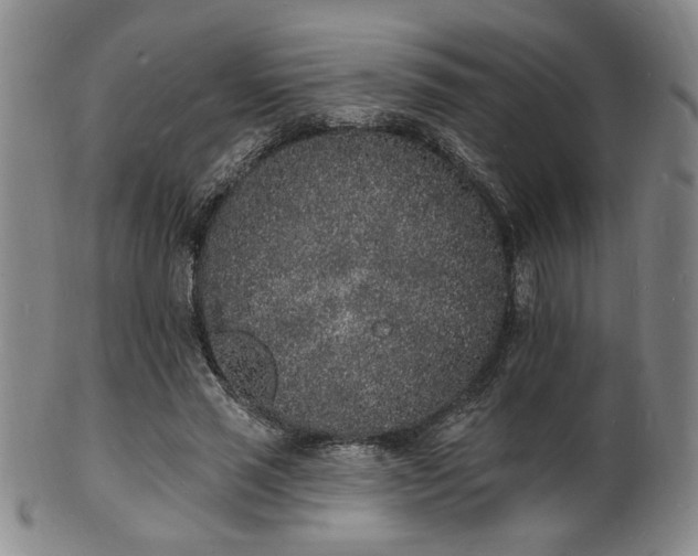 X0000101690637200807101514