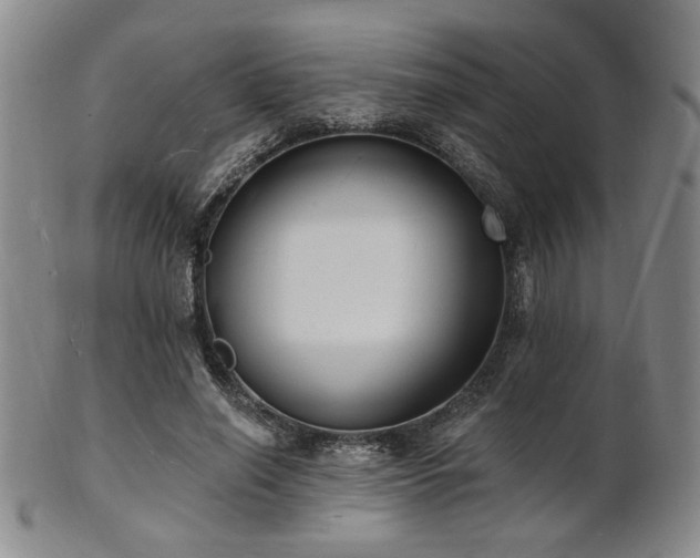 X0000101690638200807101514