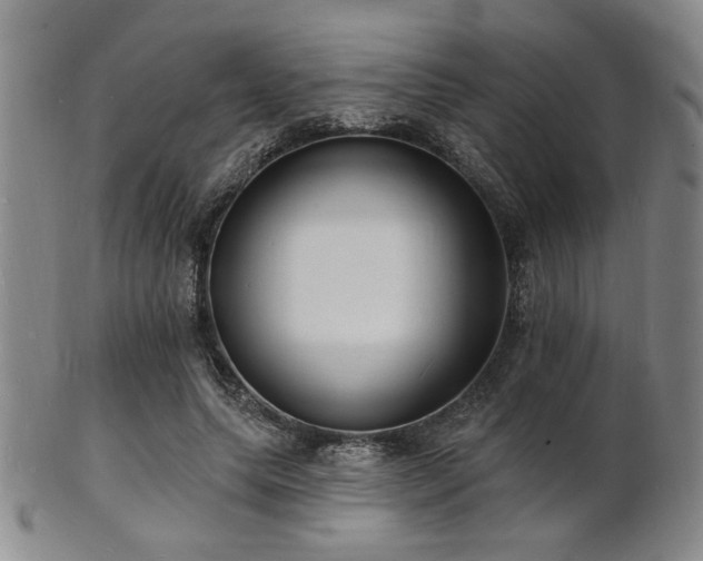 X0000101690639200807101514