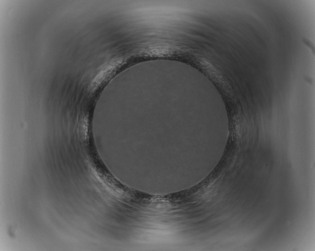 X0000101690640200807101514