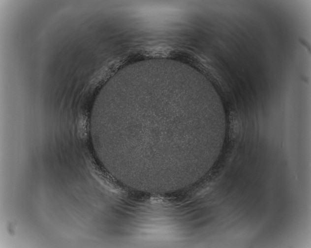 X0000101690641200807101514