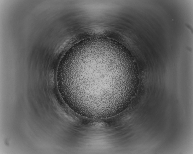 X0000101690642200807101514