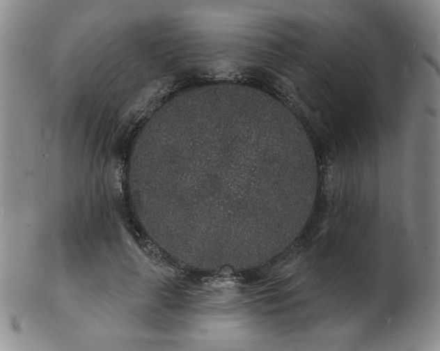 X0000101690643200807101514