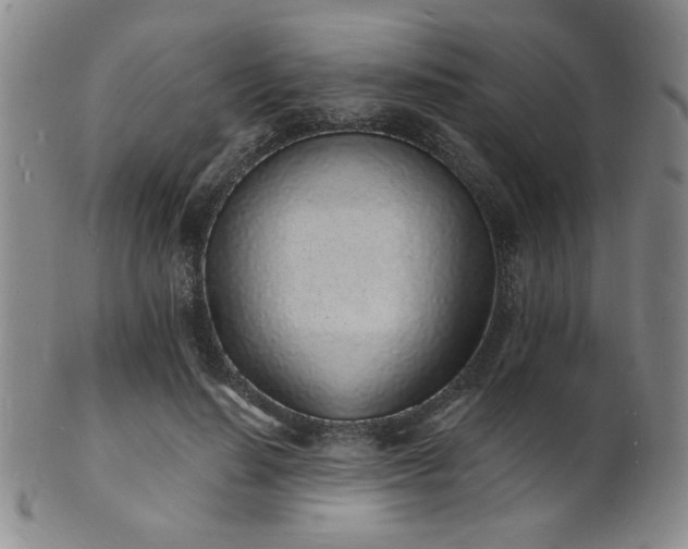 X0000101690644200807101514