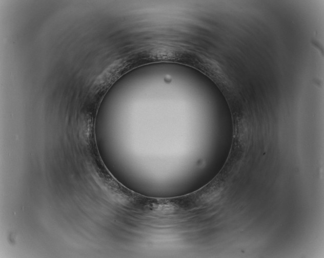 X0000101690645200807101514