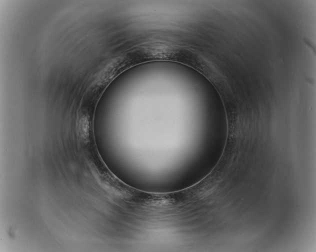 X0000101690646200807101514