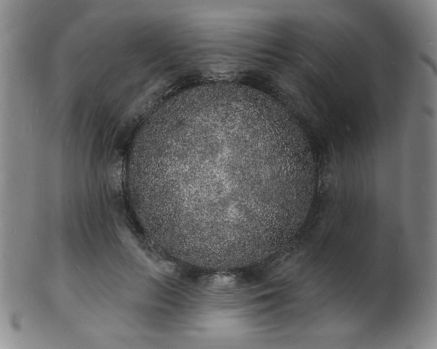 X0000101690647200807101514