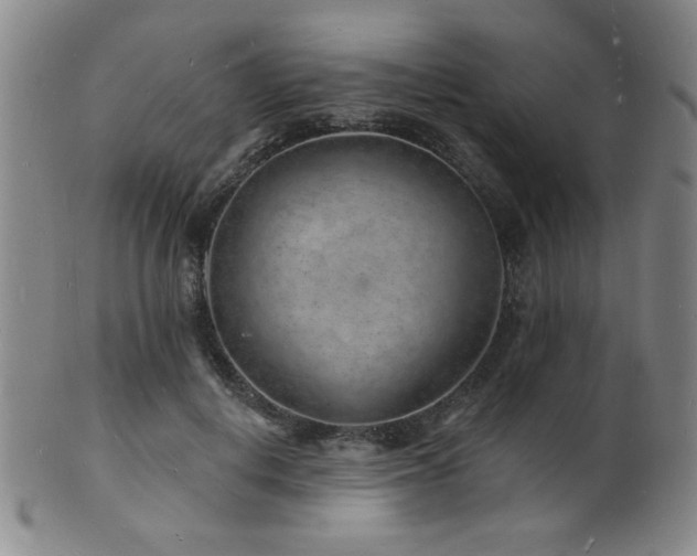 X0000101690648200807101514