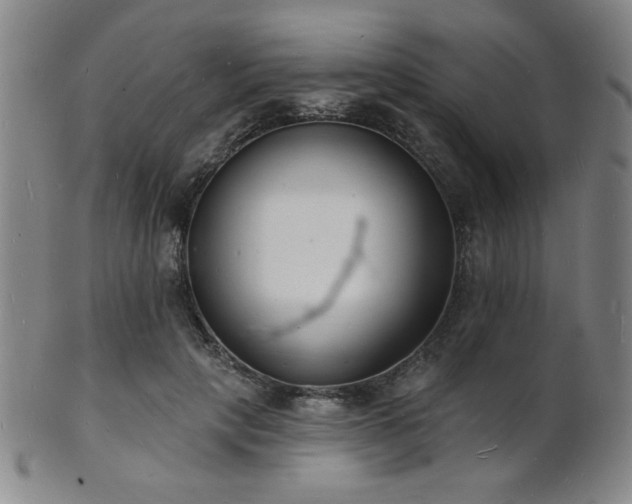 X0000101690649200807101514