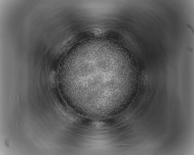 X0000101690650200807101514