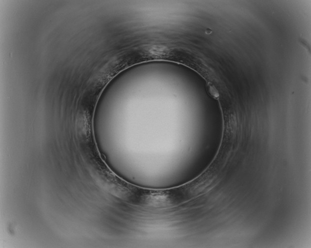 X0000101690651200807101514