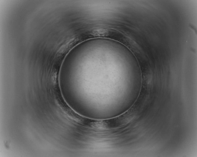 X0000101690652200807101514