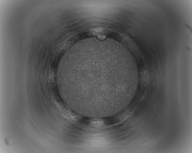 X0000101690653200807101514