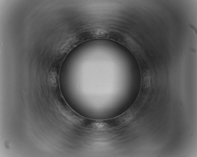 X0000101690654200807101514